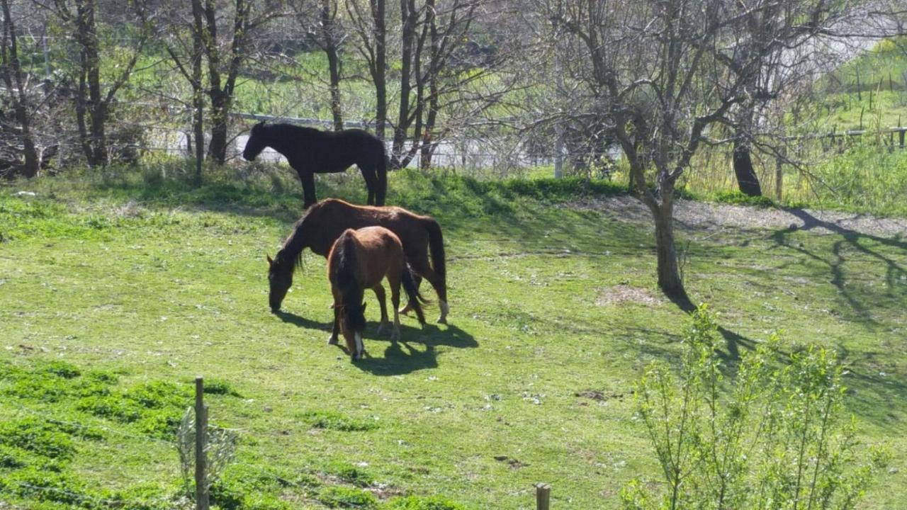 مبيت وإفطار Grimaldi  Georgerock المظهر الخارجي الصورة
